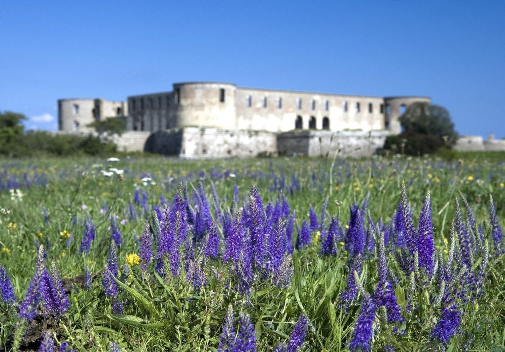 Öland Slott Sommar